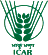 ICAR logo
