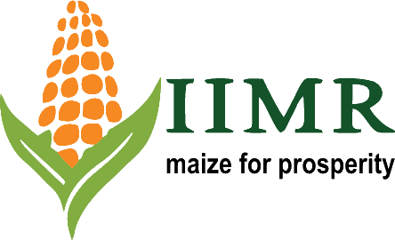 IIMR logo